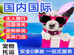 阿勒泰雪都机场托运国际宠物托运 【国